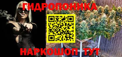 эйфоретик Краснознаменск