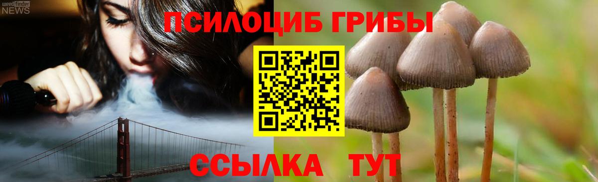 Галлюциногенные грибы Magic Shrooms Знаменск